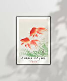 Çerçevesiz Poster Ohara Koson İki Japon Balığı