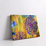 Karahindiba Kanvas Tablo