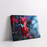 Kamelya Çiçeği Kanvas Tablo