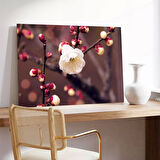 Kiraç Çiçeği Kanvas Tablo