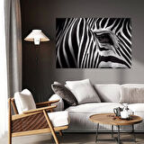 Zebra Desenleri Kanvas Tablo