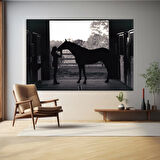 Siyah Beyaz At Kanvas Tablo