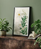 Çerçevesiz Poster Ohara Koson Zambaklar