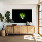 Yapraktaki Damla Kanvas Tablo