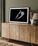 Çerçevesiz Poster Gölgedeki Asalet