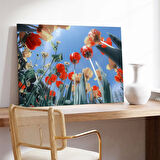 Gökyüzüne Uzanan Gelincikler Kanvas Tablo