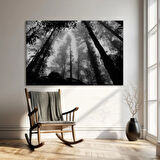 Ormanın Derinliklerinde Kanvas Tablo