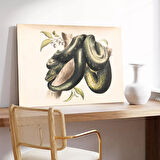 Doğanın Halkaları Kanvas Tablo