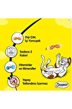 Dreamies Mix Kedi Ödül Maması Peynirli-sığır Etli 60 gr X 24 Adet