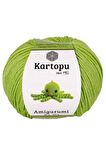 10 Adet Amigurumi El Örgü İpi 50gr 404