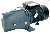 Rainpump SGJW110 Santrifuj Pompa 1.5Hp Bakır Sargılı