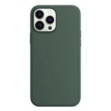 Apple iPhone 13 Pro 6.1'' Liquit Lansman Silikon Haki