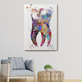 Renkli Diş, Diş Hekimi Duvar Tablosu-6283