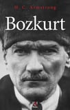 Bozkurt