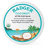BADGER AFTER SUN BALM