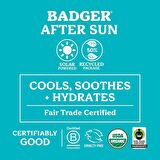 BADGER AFTER SUN BALM