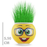 Emoji Figürlü Çim Adam Saksı Masaüstü Çim Yetiştirme Seti, Hazır Tohumlu, Hediye Paketli Çim Adam