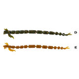 Ryuji Crazy Slug 8cm Silikon Yem (10 Adet) E-Standart