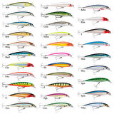 Rapala X-Rap Saltwater Sahte Balığı WHU-120MM