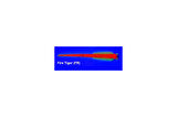 SPIINX SANDWORM SİLİKON 6CM 18P FIRE TIGER