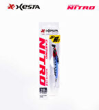 XESTA CASTING NITRO 20G RHBIW