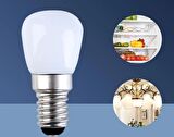 Cata CT-4261 2W 220V E14 Duylu Buzdolabı Ampulü Beyaz Işık