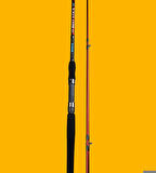 Alesta BEST STICK 270 CM 10-30Gr 2Pc Spin Kamış