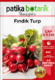 500 Adet Fındık Turp Tohumu