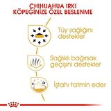 Royal Canin Chihuahua Yaş Köpek Maması 85g