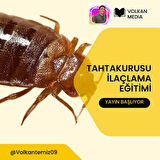Tahtakurusu yok eden ilaç kesin çözüm