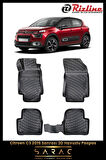 Rizline Citroen C3 2023 Model 3D Havuzlu Paspas