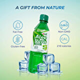  VİNUT ALOE VERA PARÇACIKLI İÇECEK 500 ML