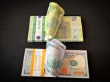 10 Deste Karma Euro ve Dolar Geçersiz Para 100  Euro  VE -100 Dolar