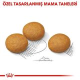 Royal Canin Maxi Dermacomfort Kuru Köpek Maması 12kg