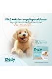 60x90 Hijyenik Tuvalet Eğitim Pedi 30'lu 2 Paket 60 Adet