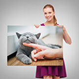 Sevimli Kedi Dekoratif Kanvas Tablo-6505