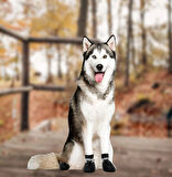 Köpek Ayakkabıları Su Geçirmez Taban, Kaymaz Taban, Güvenli Yürüyüş İçin Yansıtıcı, Küçük boy,Orta boy, Büyük boy uygundur, Yaz sıcak Asfalt, Kış Karlı Havalara Uygundur, 4 Adet