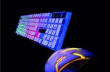 RGB Işıklı OYUNCU KLAVYE VE MOUSE SETİ GTS-1001