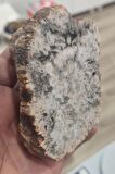 Agate Stone ( Akik Taşı ) Koleksiyonluk Tek Parça 415 Gr