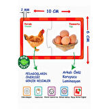 Eğitici Ilişki - Bağlantı Kurma Bulmaca Eşleştirme 2-6 Yaş - Eğlenceli Resimli Puzzle Zeka Kartları