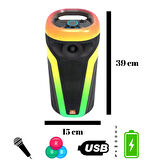 HEPU HP 113 Taşınabilir Şarjlı Bluetooth Hoparlör 4 inc *2 10w Rms Rgb Karaoke Mikrofonlu 3600 MAH