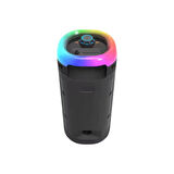 HEPU HP 113 Taşınabilir Şarjlı Bluetooth Hoparlör 4 inc *2 10w Rms Rgb Karaoke Mikrofonlu 3600 MAH