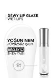 Flormar Besleyici Dudak Parlatıcısı - Dewy Lip Glaze - 001 Wet Lips-8682536068017