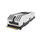 KingspecVP101-1TBPcie5-10000-10000MBs