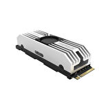 KingspecVP101-1TBPcie5-10000-10000MBs