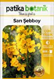 100 Adet Şebboy Sarı (cheiranthus Cheiri) Çiçek Tohumu 100 Adet