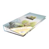 Rabsev 10x15cm 300 Fotoğraf Kapasiteli Desenli Lüks Ofset Fotoğraf Albümü