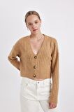 DeFacto Regular Fit V Yaka Basic Düz Düğmeli Triko Hırka R1389AZ24WNBN268