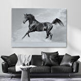 Siyah At Tablosu-6623