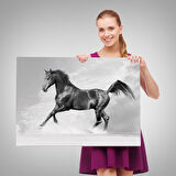 Siyah At Tablosu-6623